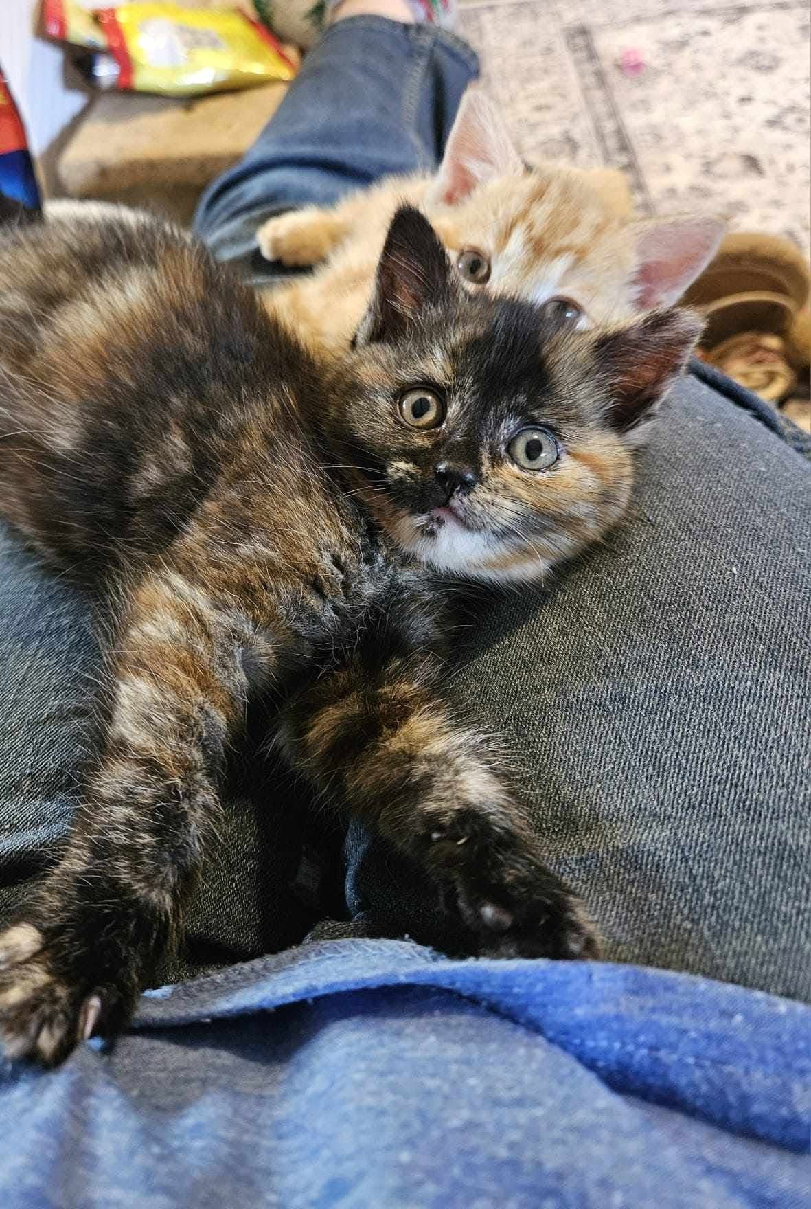Name TBC