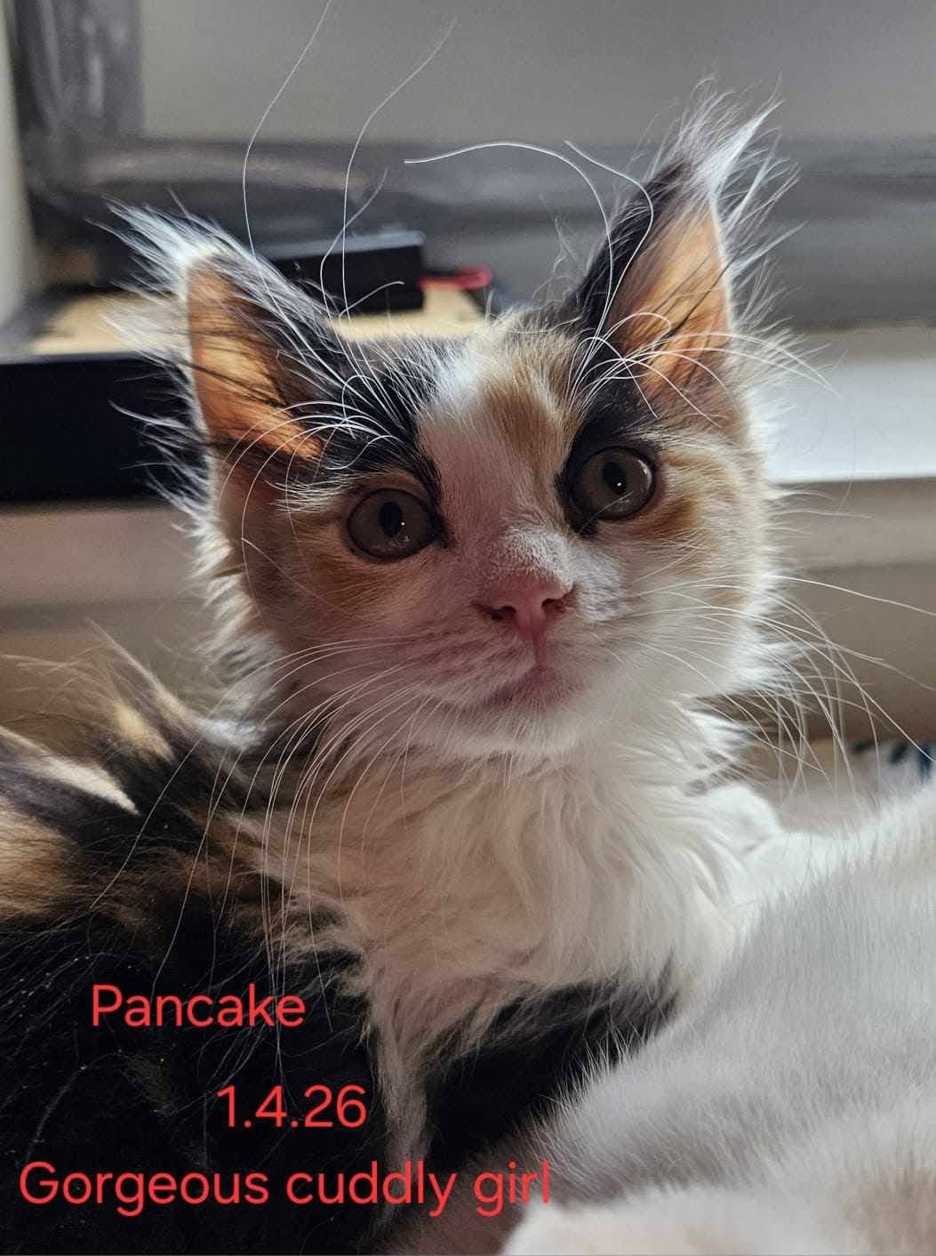 Pancake
