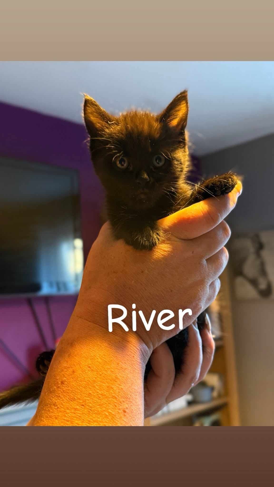 River