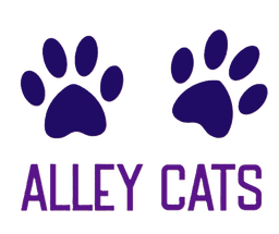 Alley Cats — neutering and rehoming unwanted cats in Ripon