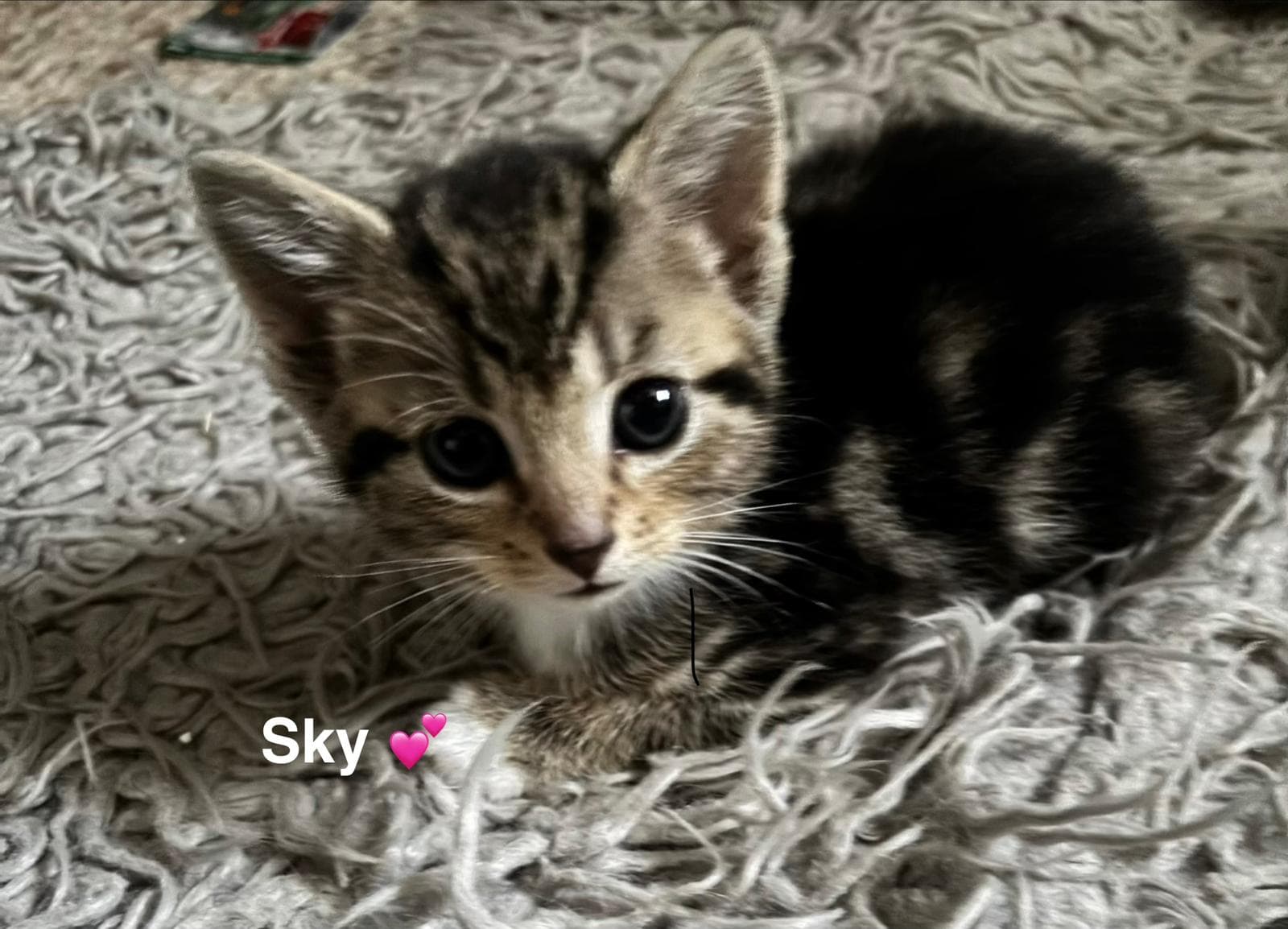 Sky