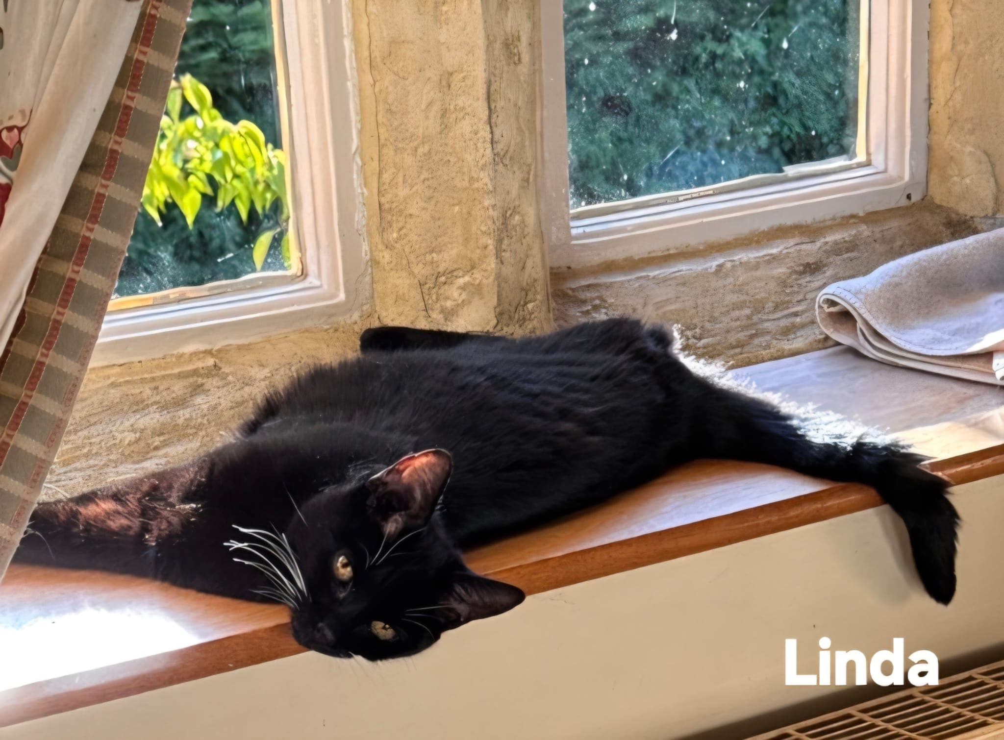 Linda