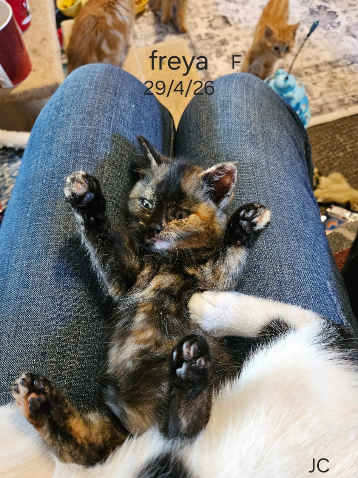 Freya