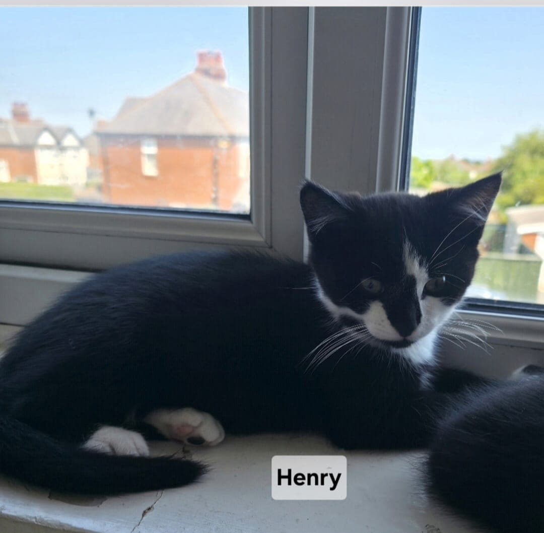Henry