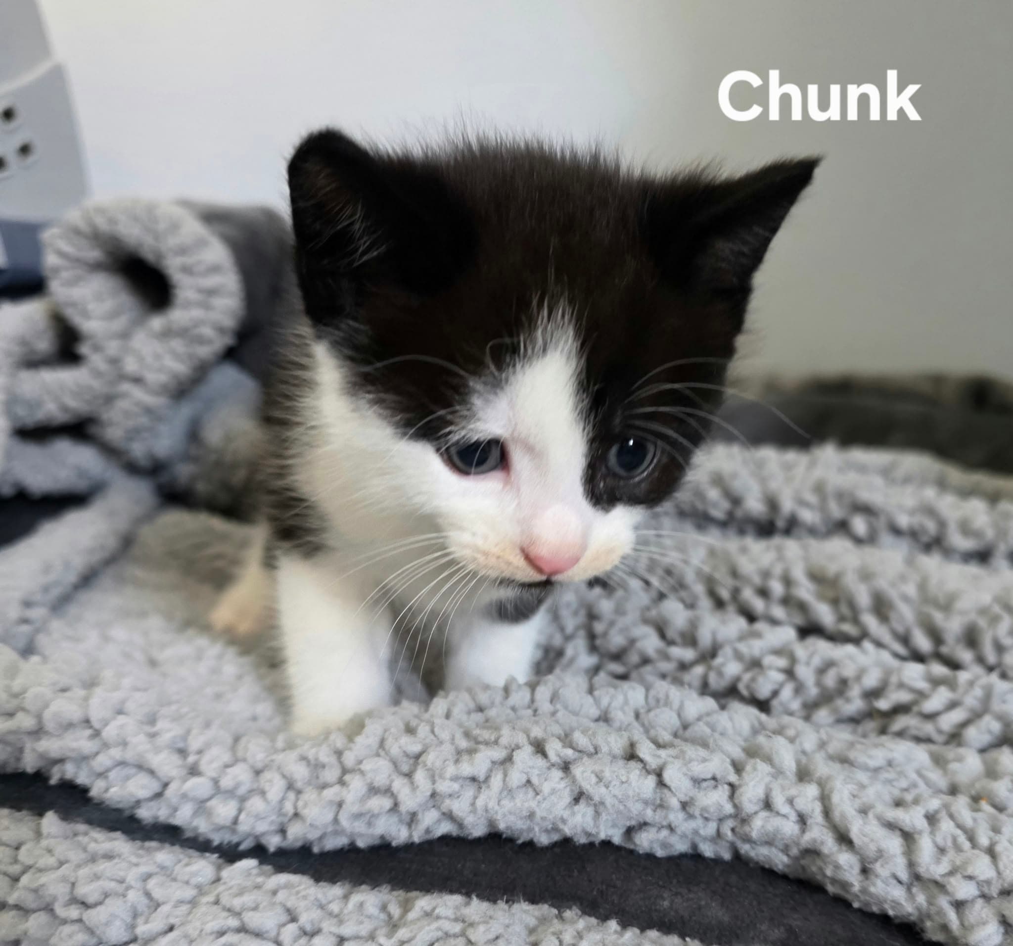 Chunk ABL