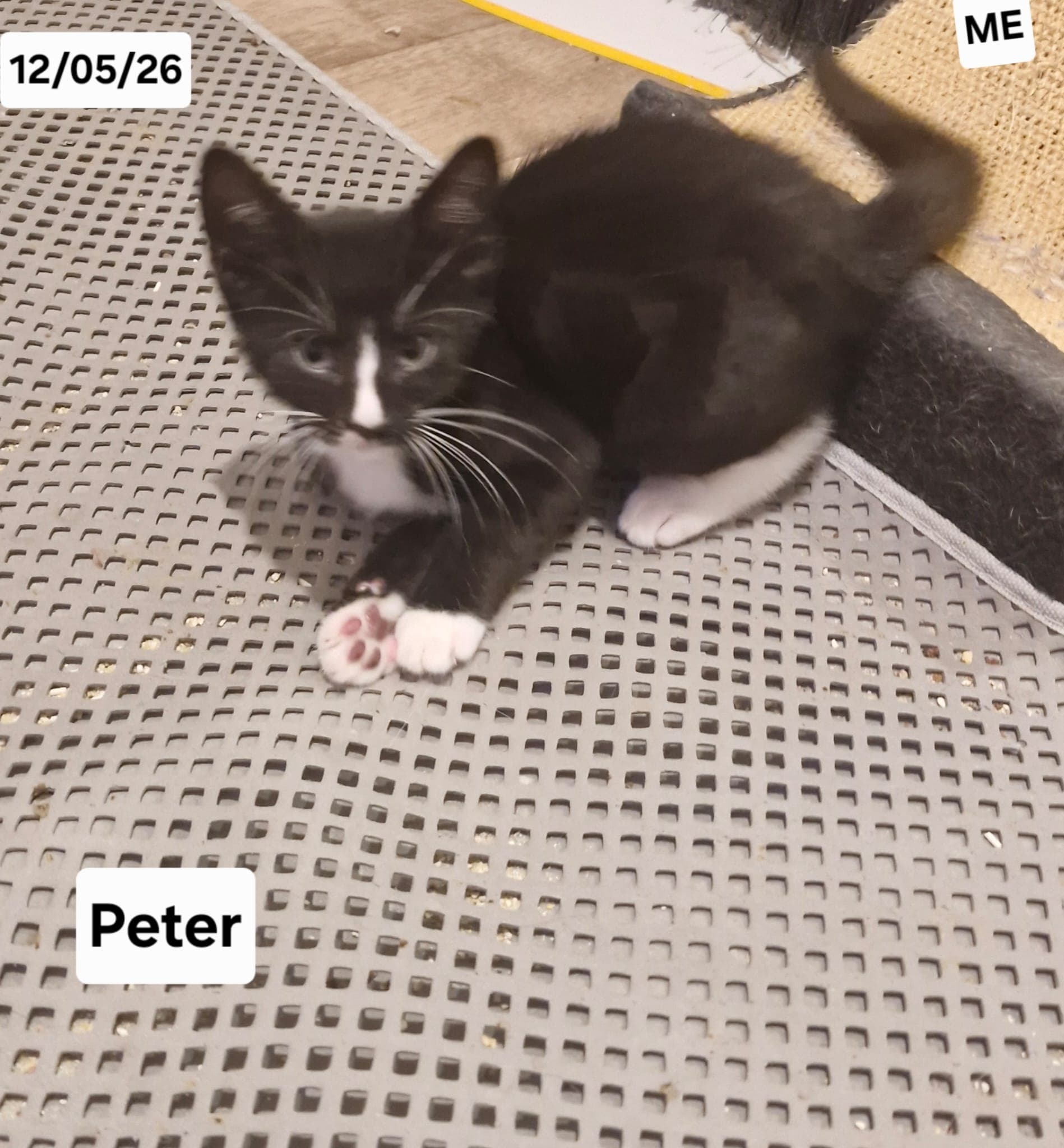 Peter