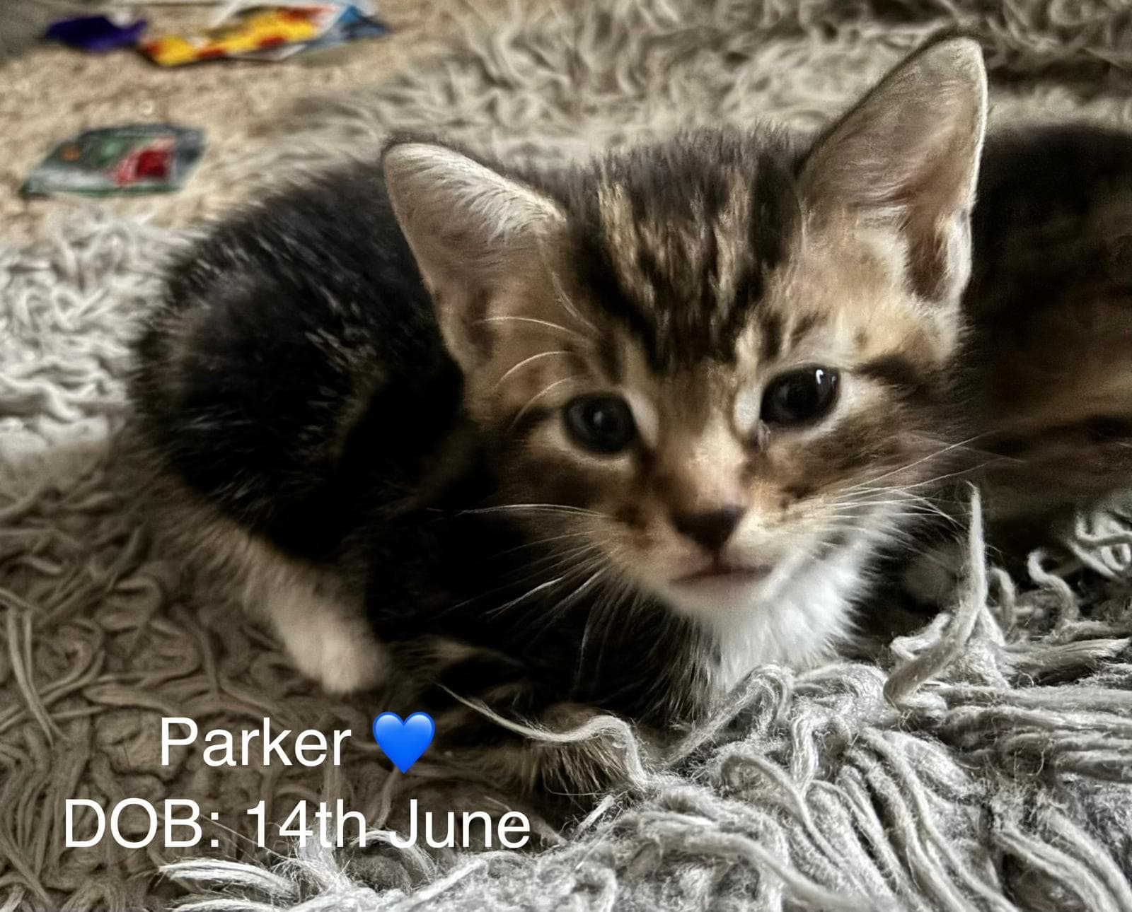 Parker. (VS)