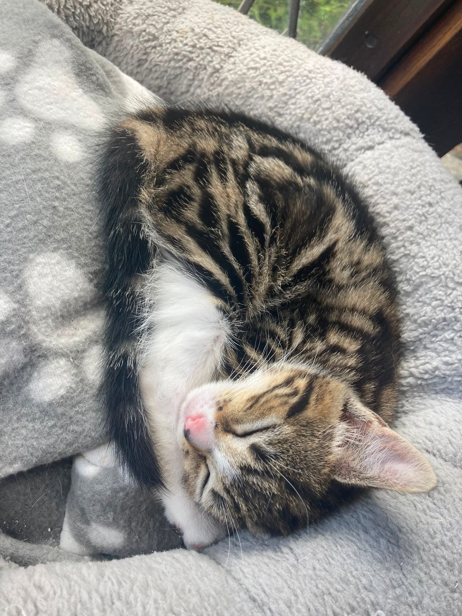 Hera