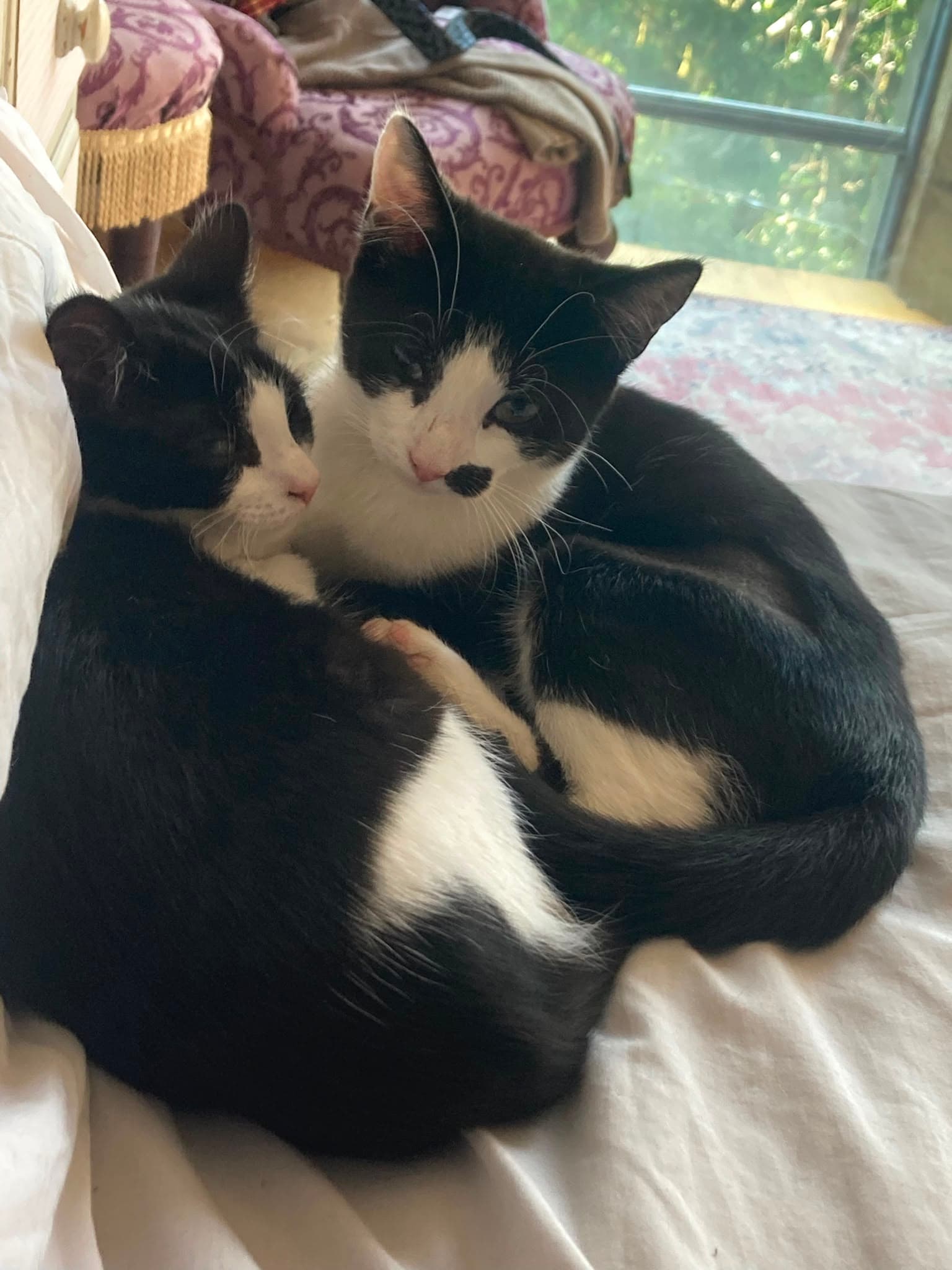 Ava and Gigi
