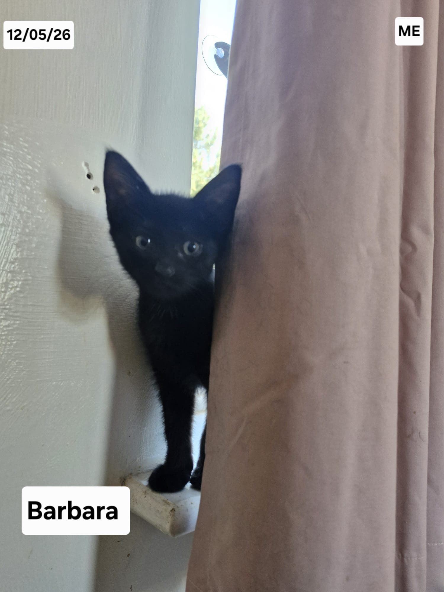 Barbara