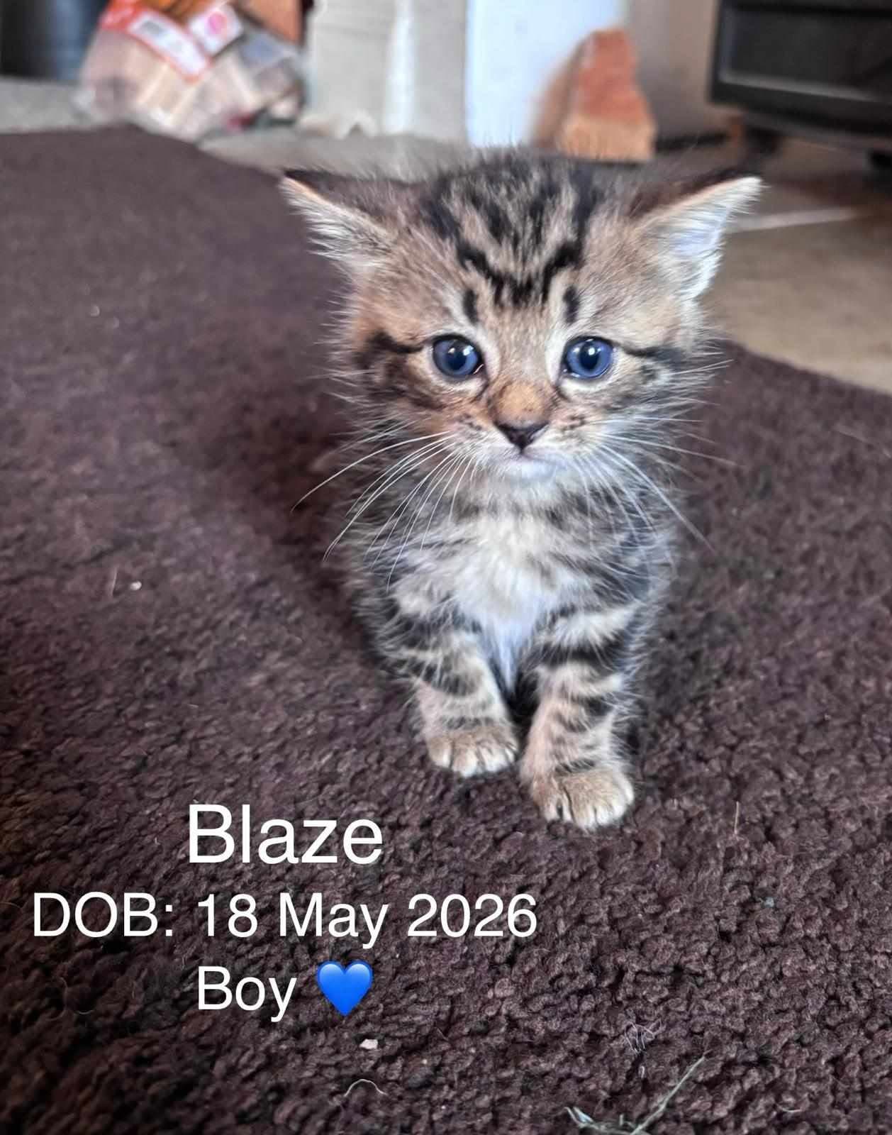 Blaze