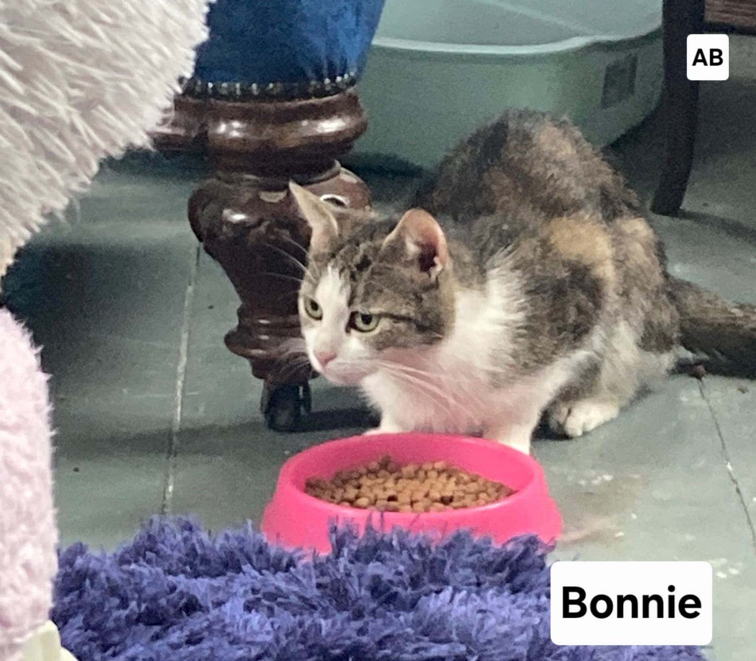 Bonnie ( ABR)