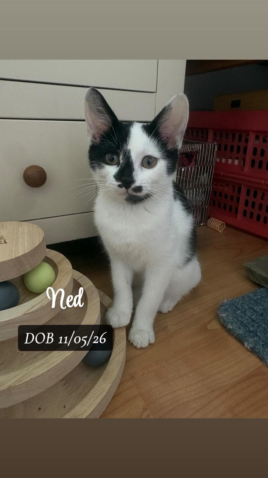 Ned. (K/L)