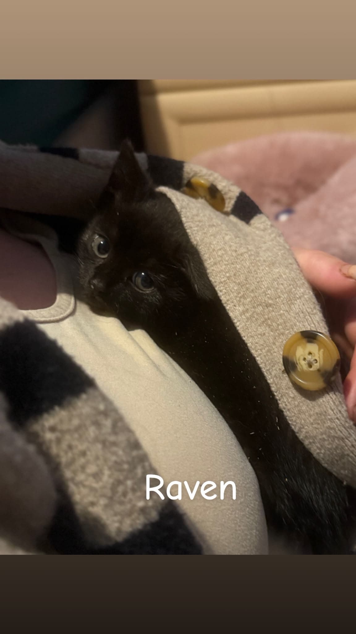 Raven (DS)