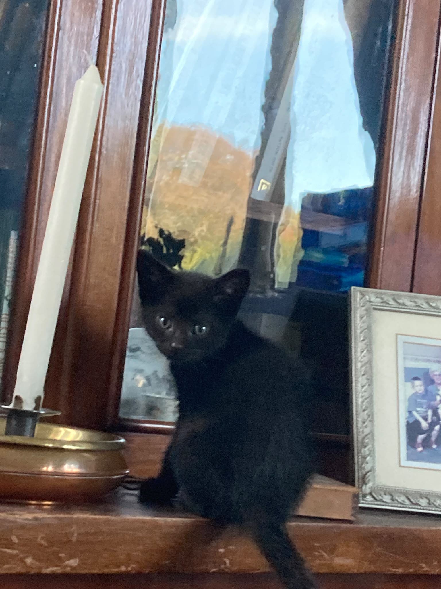Miss Penelope AB